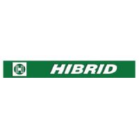 hibrid